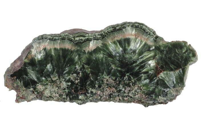 Polished Seraphinite Slab - Siberia #174809